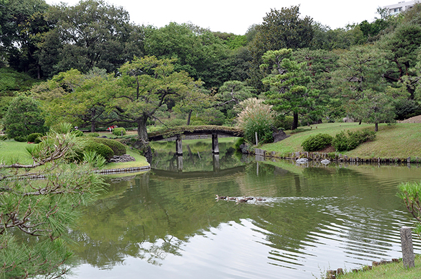 東京都内にいることを忘れてしまうほどの豊かな緑と雅やかな空気を楽しめる名園。